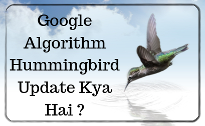 Google Algorithm Hummingbird Update Kya Hai ?