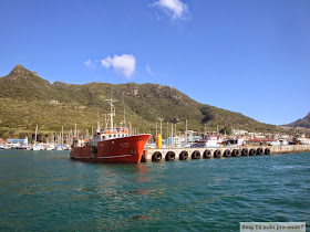 passeio para ver focas em Hout Bay