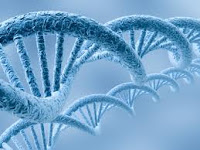 Uses Of DNA Sequencing