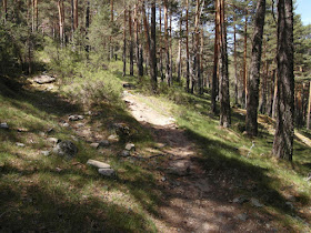 Ruta en bici de Cercedilla a Segovia, junio 2012