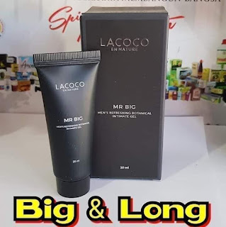 herga mr big lacoco