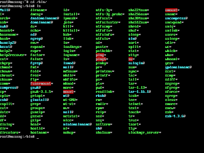 basic linux commands