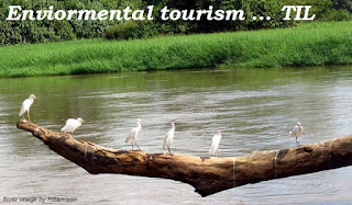 Environmental birds tourism 