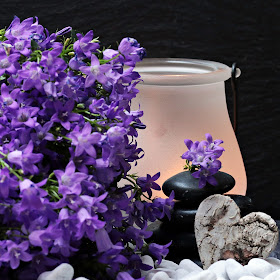 Lilacs are Lovely, Living From Glory To Glory Blog...