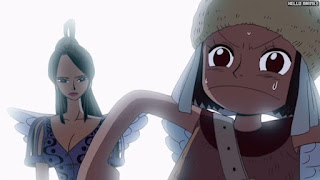 ワンピース アニメ 空島 スカイピア 164話 ラキ アイサ | ONE PIECE Episode 164 Skypiea