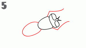 كيفية رسم ذبابة