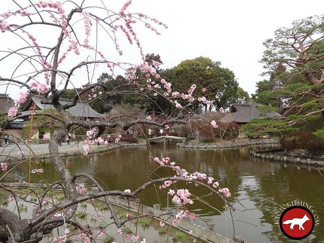 Jardin du temple umenomiya à Kyoto