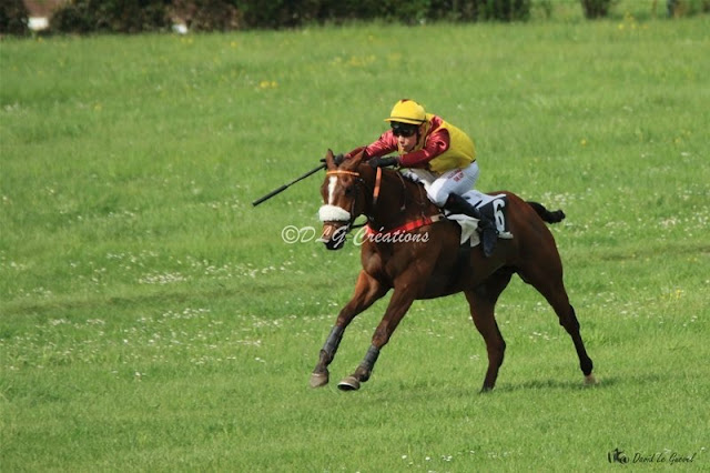 Photo de Diamond's Tom à l'arrivée