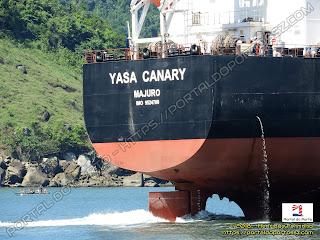 Yasa Canary