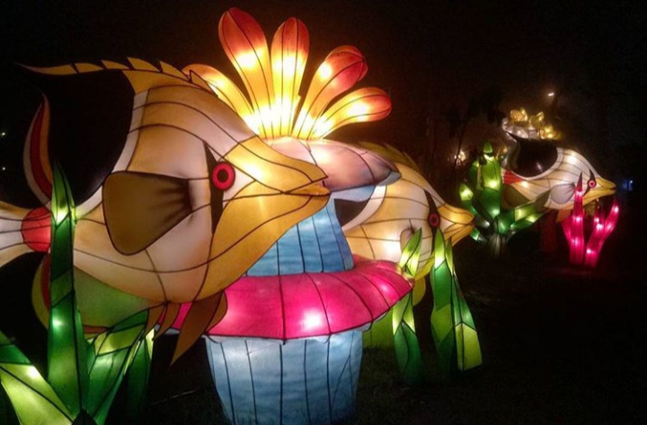 Dowes29com Taman Lampion Sleman Yogyakarta Lokasi Dan