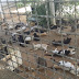 [VÍDEO] POLÍCIA DESCOBRE "SANTUÁRIO" DE ANIMAIS MORTOS E DOENTES EM APODI-RN