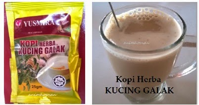 Anim Agro Technology: HERBA - KUCING GALAK