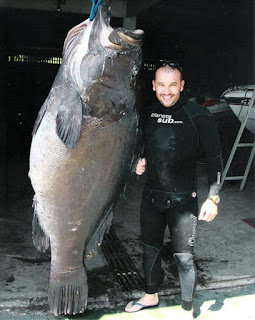 Rank de Cherne 160 Kg - Rogerio Almicar Dias - pesca submarina