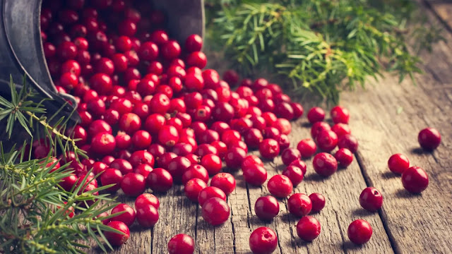 Fresh Cranberries