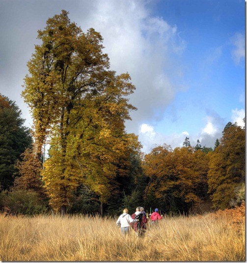 Trail 11