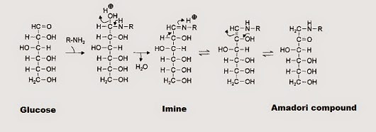 Fig. I.2: Initial phase of the Maillard reaction showing the formation of Amadori compounds