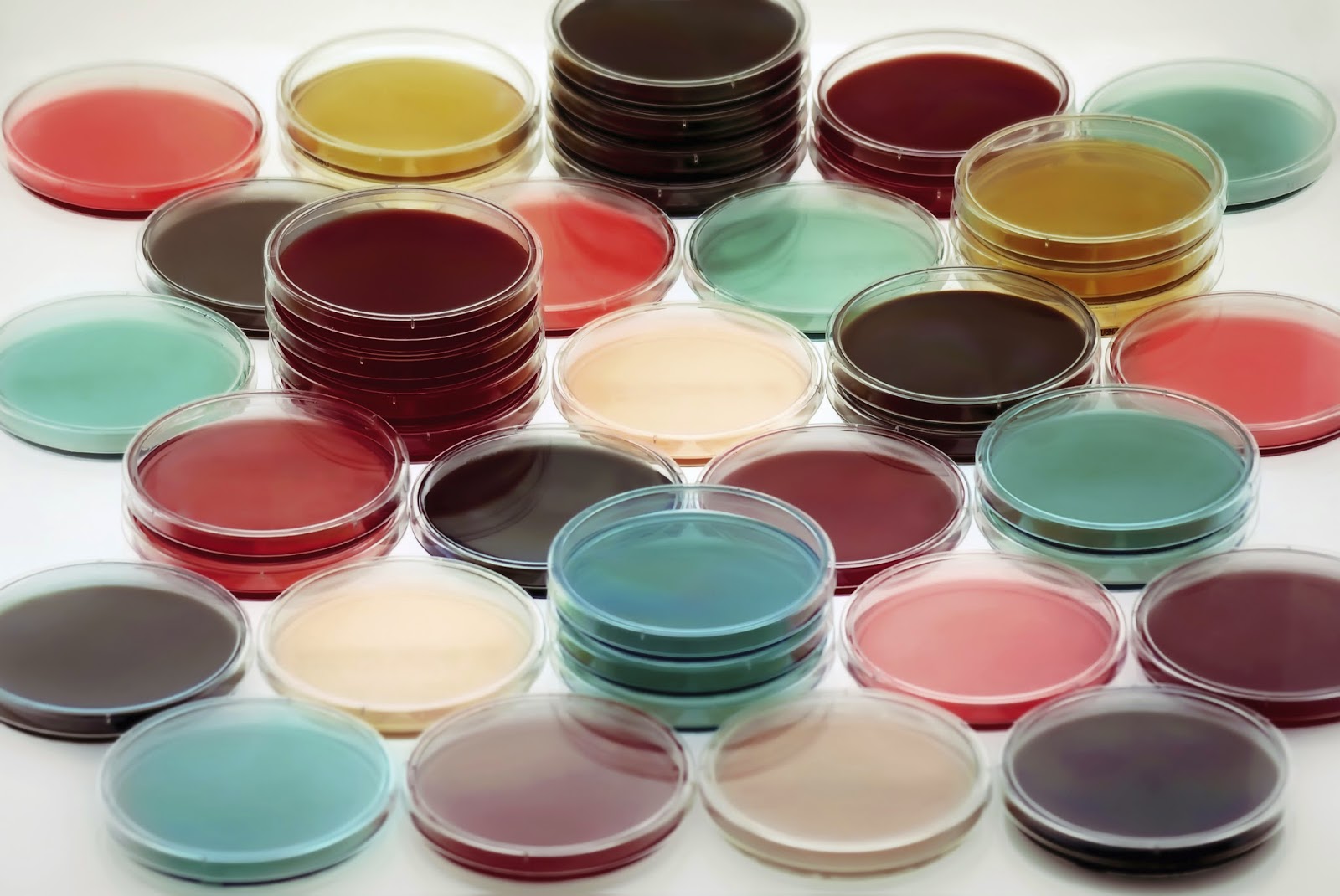 View From The Petri Dish: Current techniques used in the quality