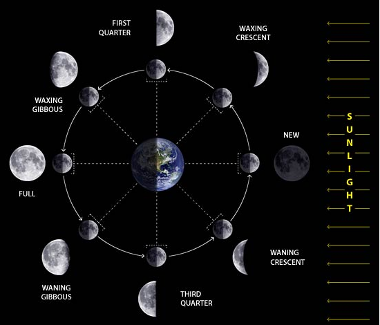 Phases of the Moon- Shubham Singh (Universe)