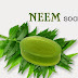 The Good Old Fashioned Organic Neem Soap