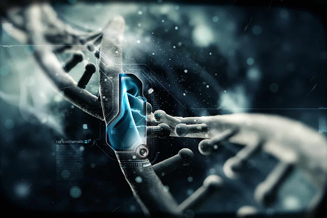 Marcadores de ADN