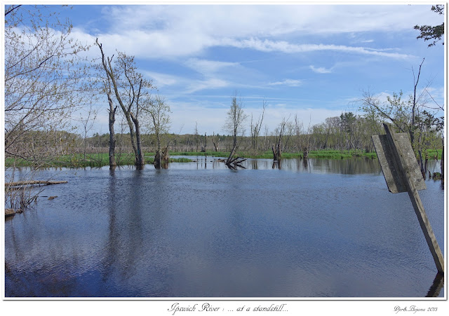 Ipswich River: ... at a standstill...