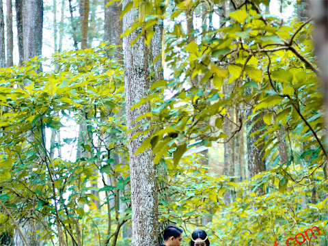 Foto Prewedding Bandung Murah: Foto Prewedding Bandung