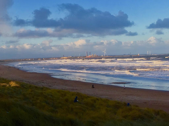 8 Favourite North East Coastal Family Walks seaton sluice