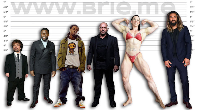 Peter Dinklage, Kevin Hart, Lil Wayne, Joe Rogan, Maria Wattel, and Jason Momoa height comparison