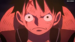 ワンピースアニメ 1016話 | ONE PIECE Episode 1016