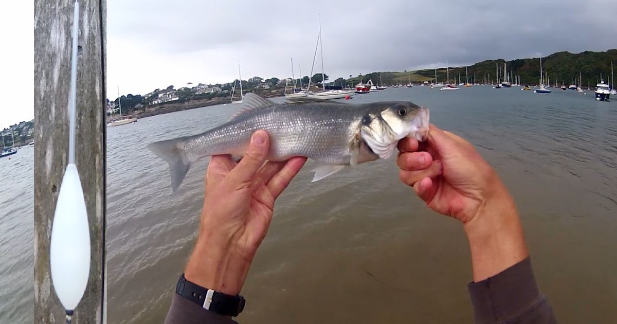 Shore Fishing - BOMBARDA Float Lure Fishing for Sea BASS with FLIES -  Cornish Shore and Kayak Fisherman