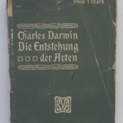 Buku Antik Charles Darwin 1910, Teori Evolusi