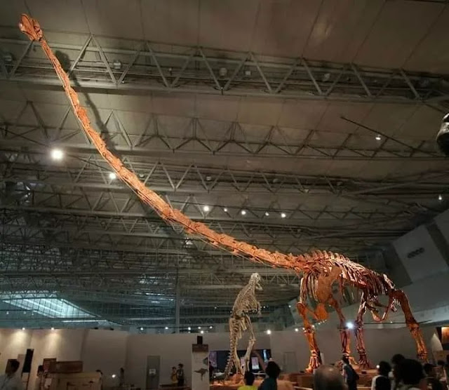 Mamenchisaurus dinosaurio cuello largo