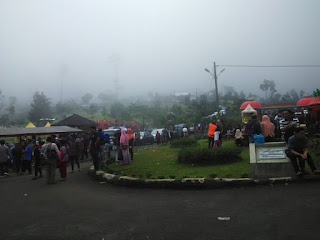 kebun strawberry serang purbalingga