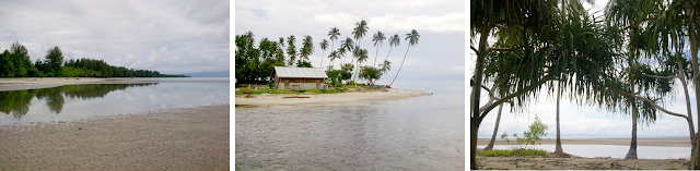 Tempat Wisata HALMAHERA TIMUR yang Wajib Dikunjungi  14 Tempat Wisata HALMAHERA TIMUR yang Wajib Dikunjungi (Provinsi Maluku Utara)