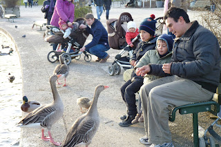 Lago olímpico, Olympiapark.