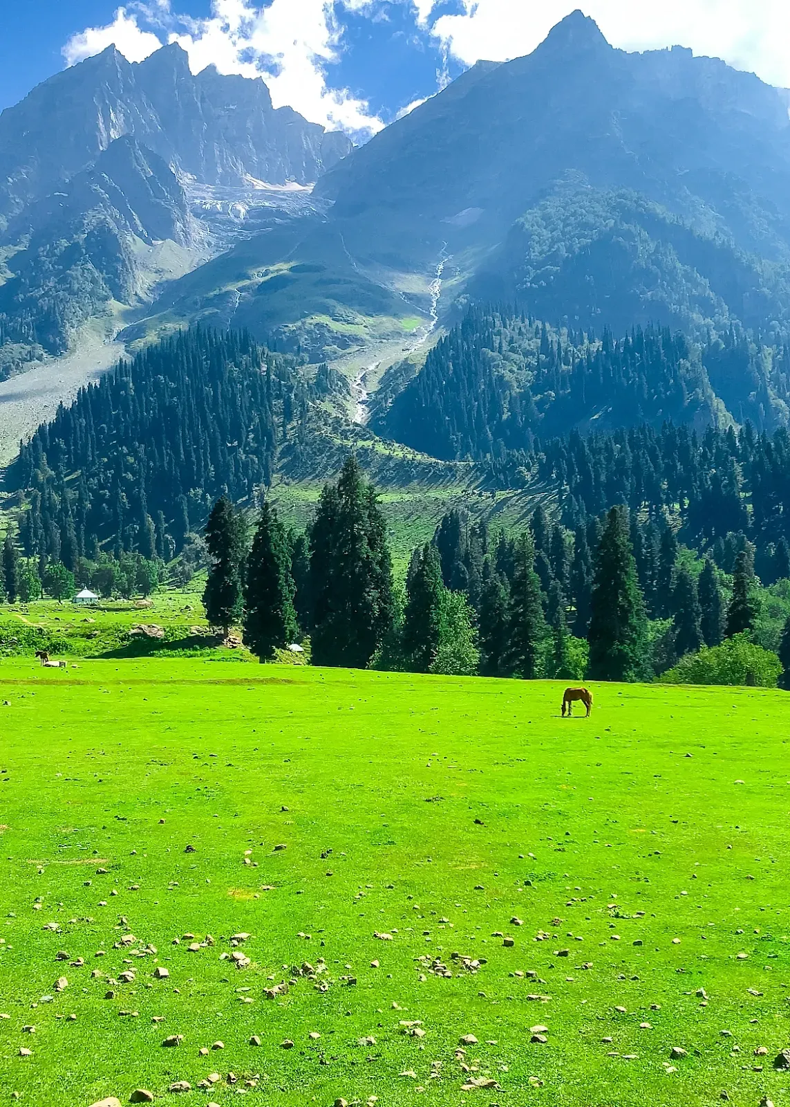 Gulmarg