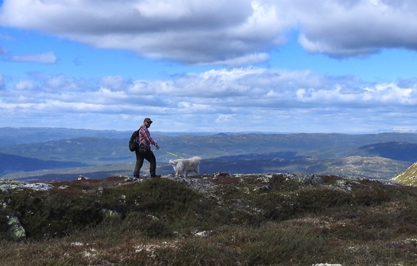 sørbølfjellet