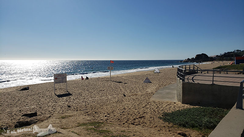 Playa dos Cañones, Viña del Mar.