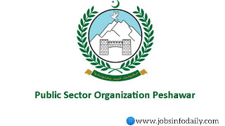 Public Sector Organization 749 Peshawar Jobs 2022 - Jobs Info Daily