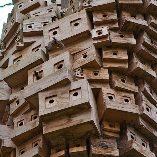 Spontaneous City in The Tree of Heaven by London Fieldworks