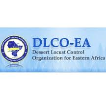 Radio Operator/Store Keeper (RO/SK) at DLCO-EA