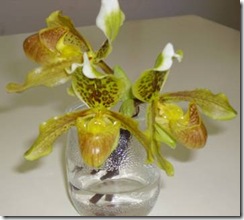 clip_image002[12]