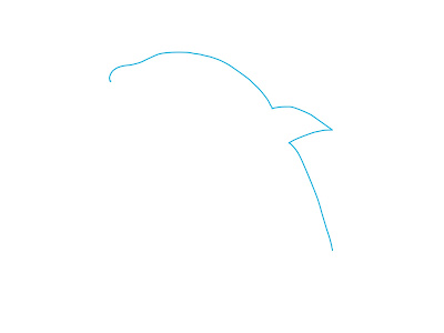 アイコン 「イルカ」 (作: 塚原 美樹) ～ 背中側の輪郭を描く