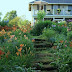 Our Hillside Garden