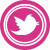 Siguenos en Twitter