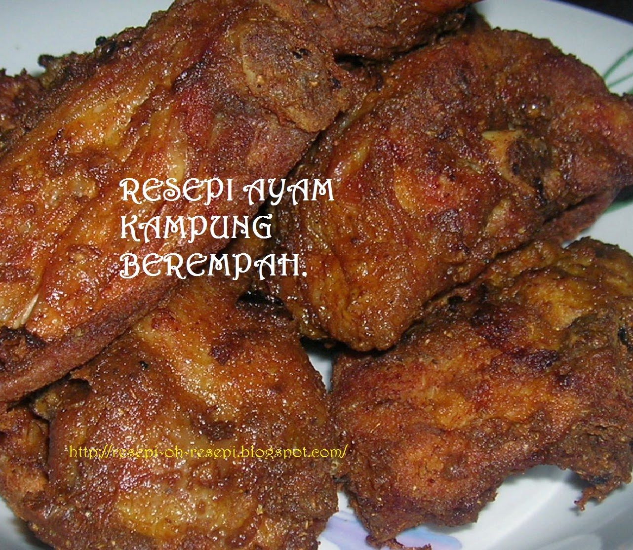 RESEPI AYAM KAMPUNG BEREMPAH