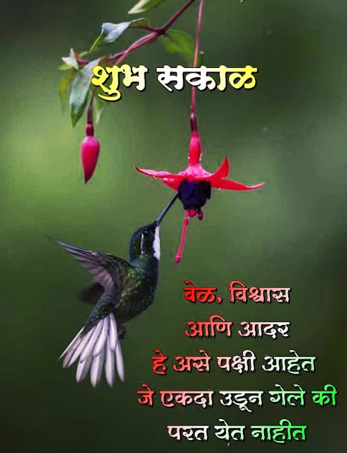 शुभ सकाळ Good Morning Images Marathi Shayari