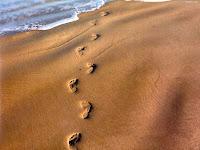 footprints on the beach