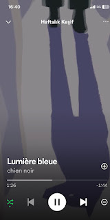 müziksiz olmaz, chien noir, lumiere bleue