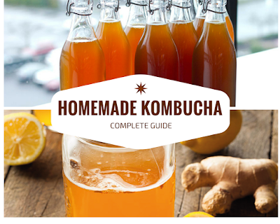 http://dash-diet-beverages.blogspot.com/2018/05/kombucha.html#.WwwikO4vwnT